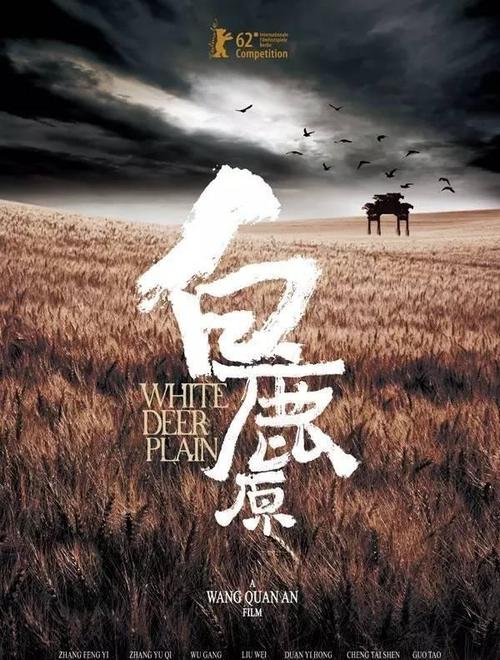 怎么做假戴维逊学院文凭毕业证